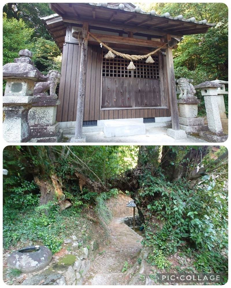中須八幡宮,山口県周南市中須杉山2663