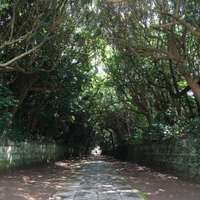 ひたちなか市の御朱印 神社 お寺 人気ランキング21 Omairi おまいり ひたちなか市の御朱印 神社 お寺 人気ランキング21 Omairi おまいり