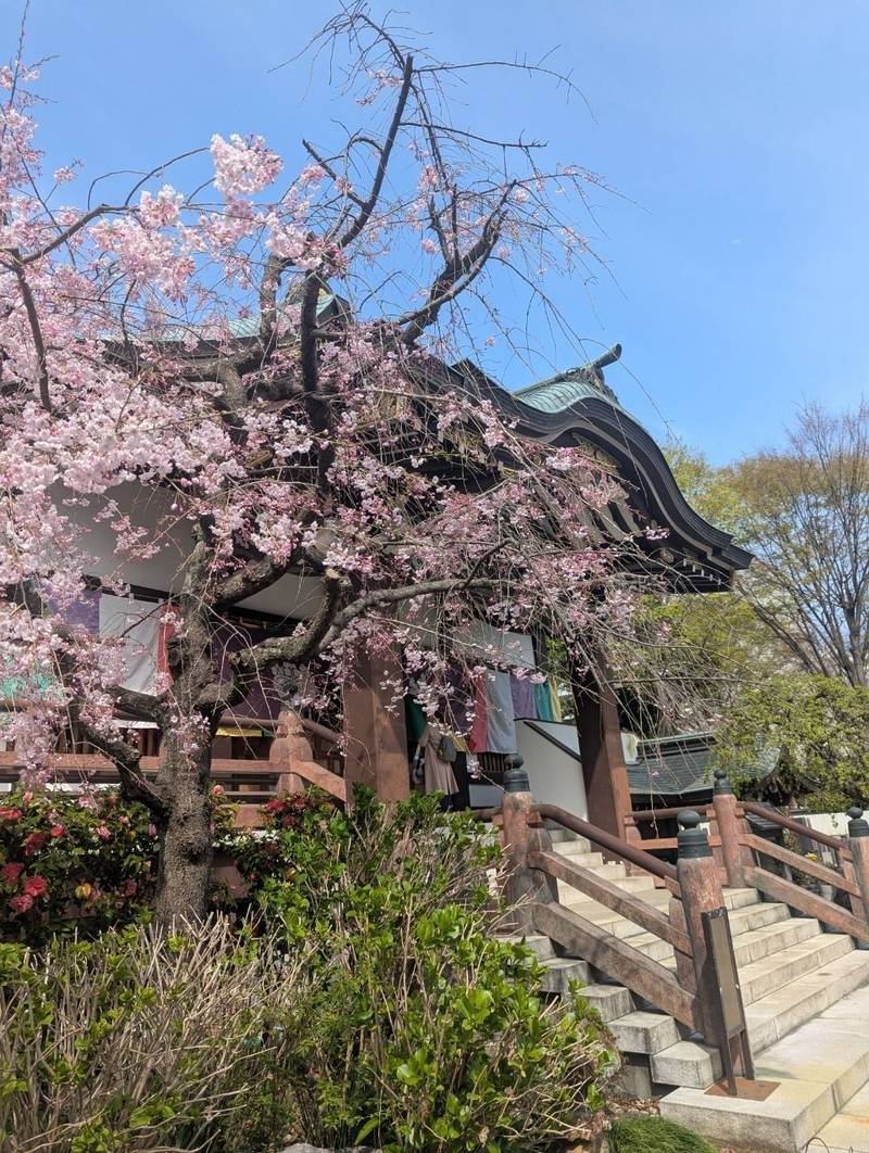 福傳寺     (福伝寺),東京都八王子市明神町4-10-6