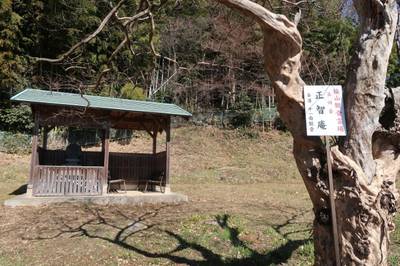 正智庵,見どころ,お詣りおっさん