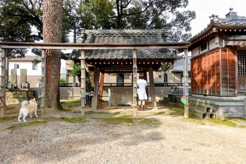 信照寺,愛知県安城市榎前町北榎１８