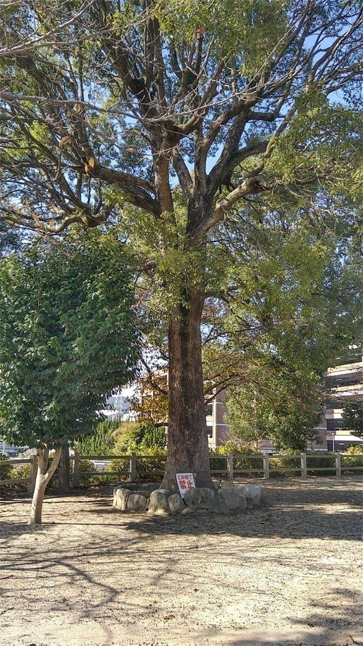 櫛田菅原神社,福岡県筑紫野市俗明院1-11-22