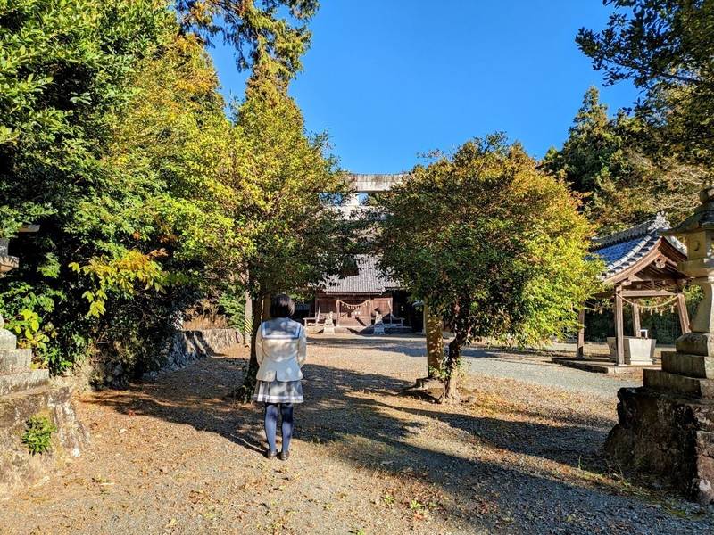 上千両神社,愛知県豊川市千両開津田85
