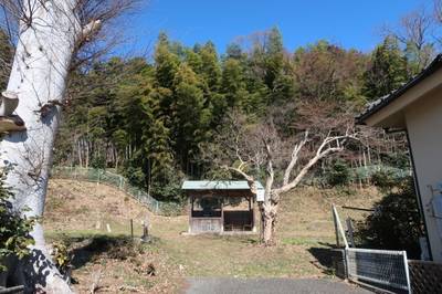 正智庵,見どころ,お詣りおっさん