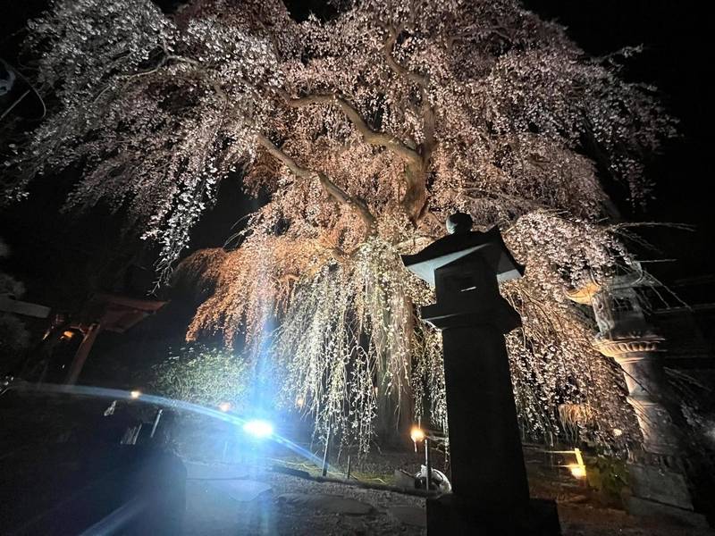 阿弥陀寺,茨城県那珂市額田南郷375