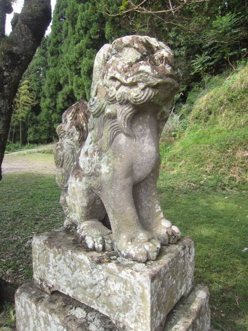 是社神社,京都府福知山市下天津2068