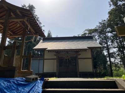 牛岡神社,見どころ,メタモン