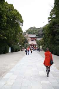 神奈川県の御朱印 神社 お寺 人気ランキング21 Omairi おまいり