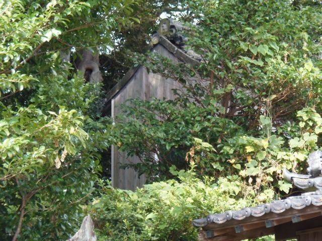 若宮神社 (獅子町),長崎県平戸市獅子町661