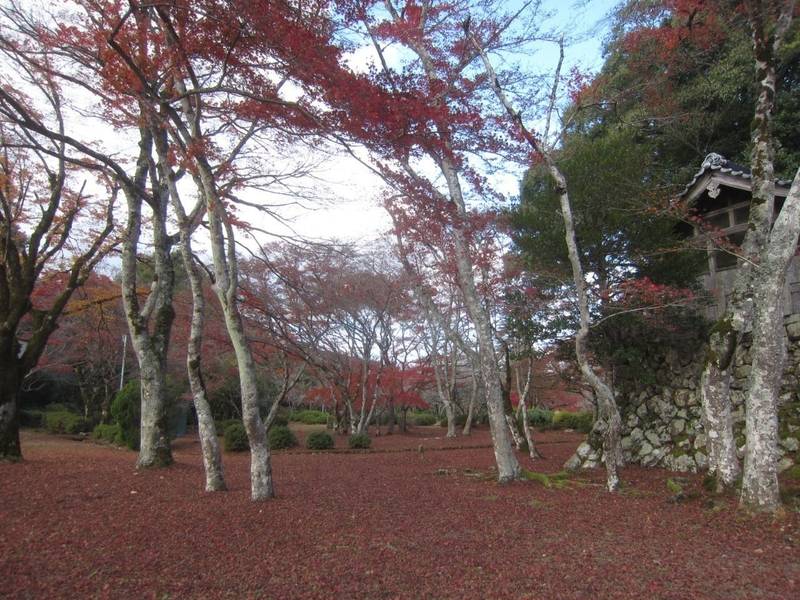 谷霊神社,京都府綾部市広瀬町上ノ町７６