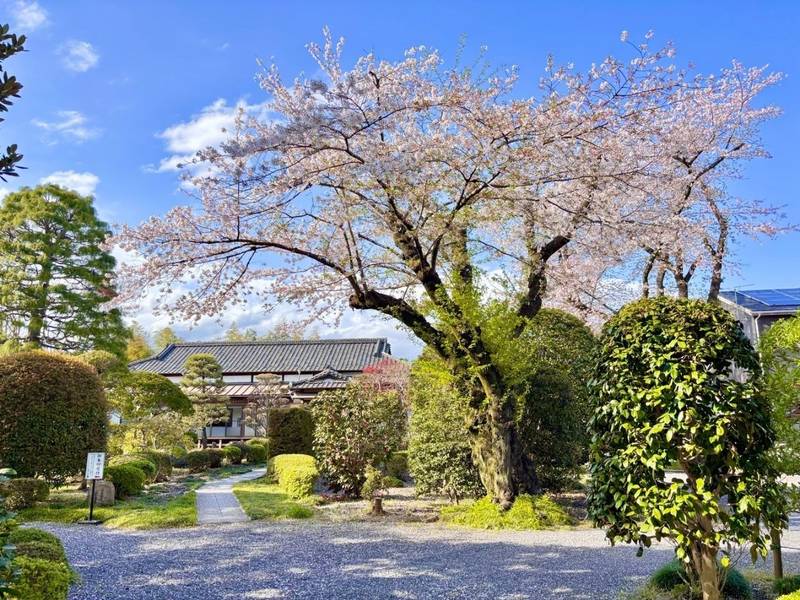広渡寺,埼玉県飯能市八幡町16-5
