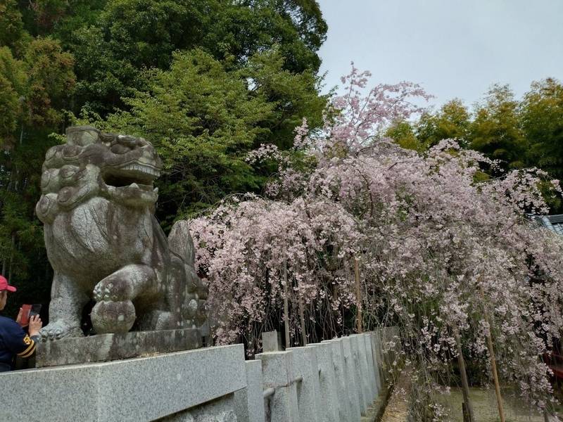 小川諏訪神社,福島県いわき市小川町塩田宮ノ後６７