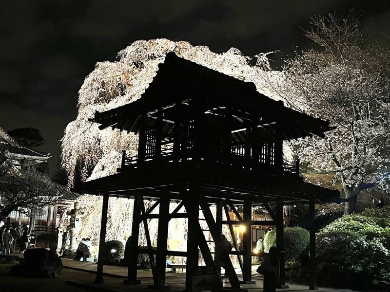 阿弥陀寺,茨城県那珂市額田南郷375