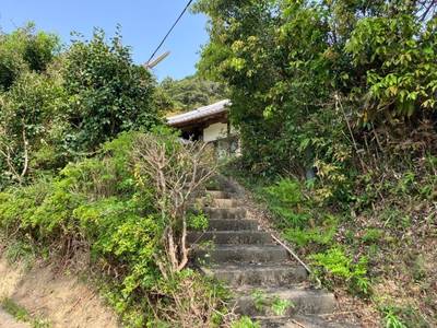 西光寺,見どころ,メタモン