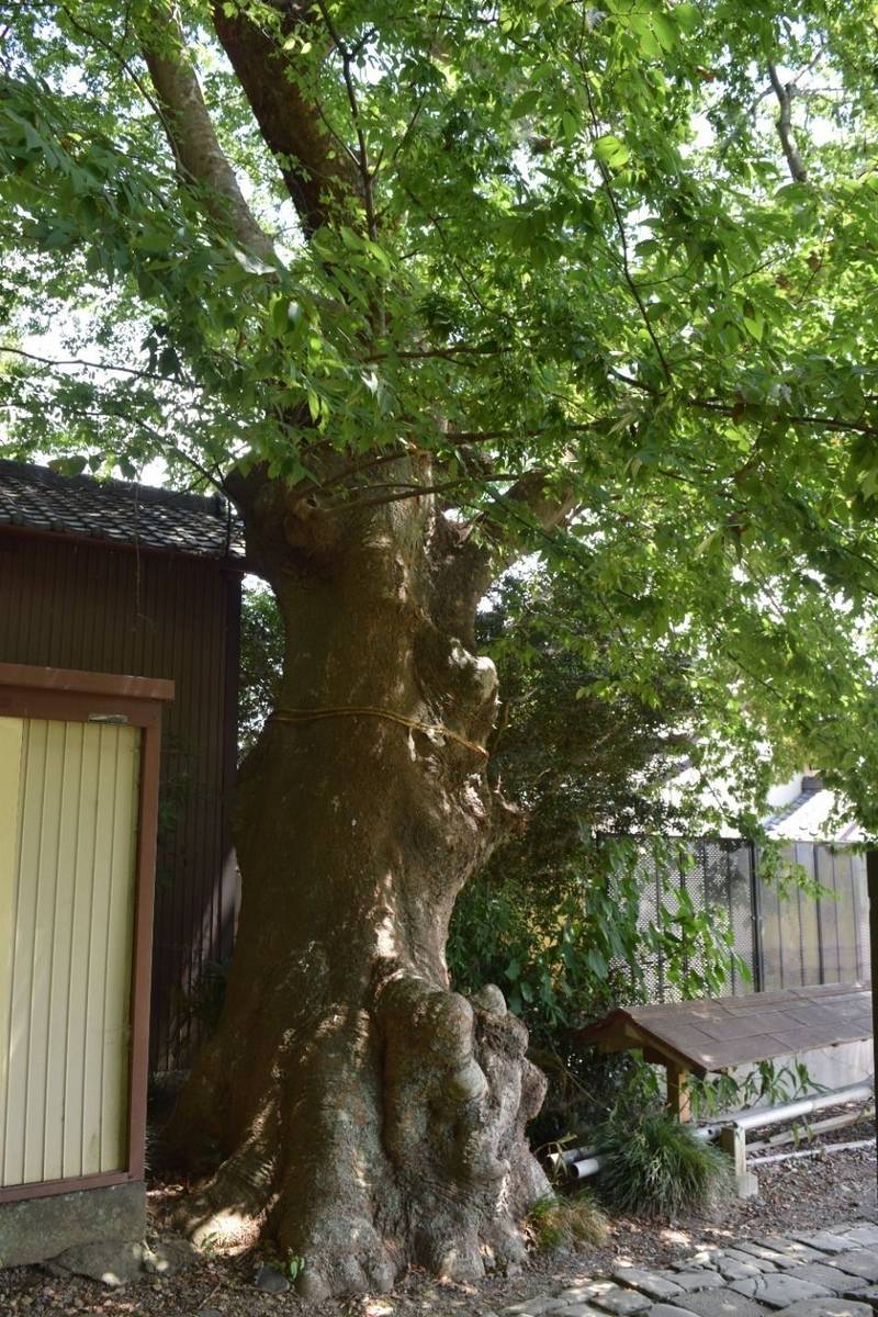 南吉見羽黒神社,埼玉県比企郡吉見町南吉見57
