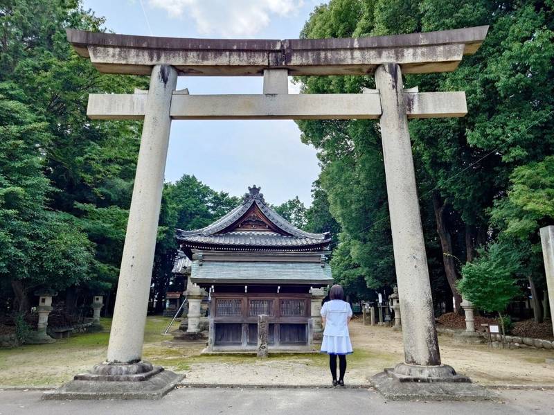 龍神社,愛知県江南市小折町八竜84