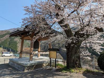 松智院,見どころ,ながまつ・西源寺Jr.