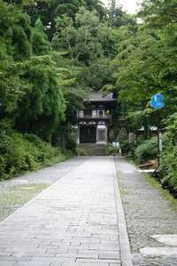 西伯郡大山町の御朱印・神社・お寺 人気ランキング2025