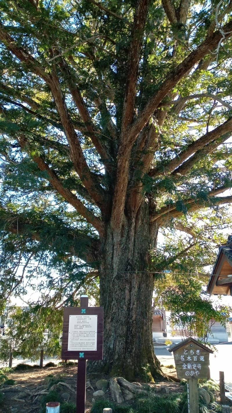 金剛定寺,栃木県宇都宮市上桑島町1041