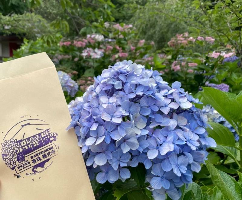 有珠善光寺,北海道伊達市有珠町124番地