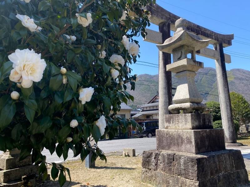 山祇神社,島根県鹿足郡吉賀町真田1267