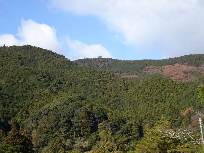 田沢城,静岡県浜松市浜名区引佐町田沢