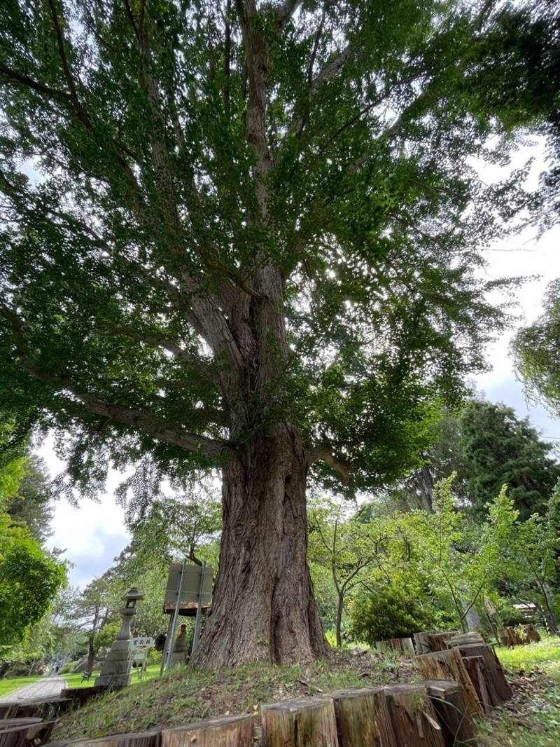 有珠善光寺,北海道伊達市有珠町124番地