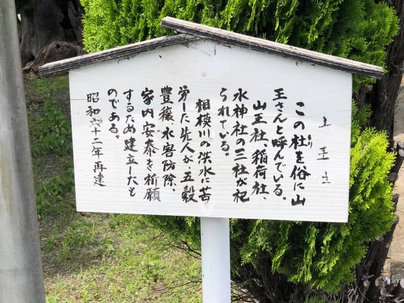 猿ヶ島山王社,神奈川県厚木市猿ヶ島