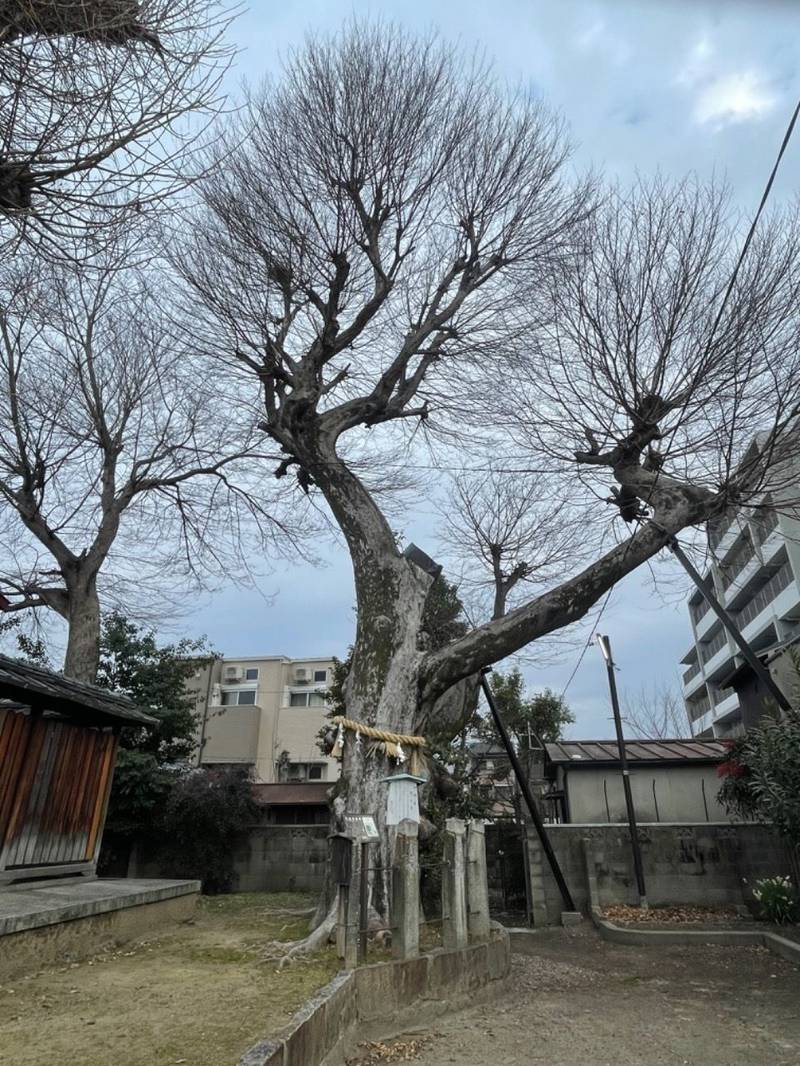宇賀神社,京都府京都市南区東九条東札辻町33