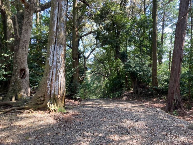 大津八幡宮,静岡県島田市大草566