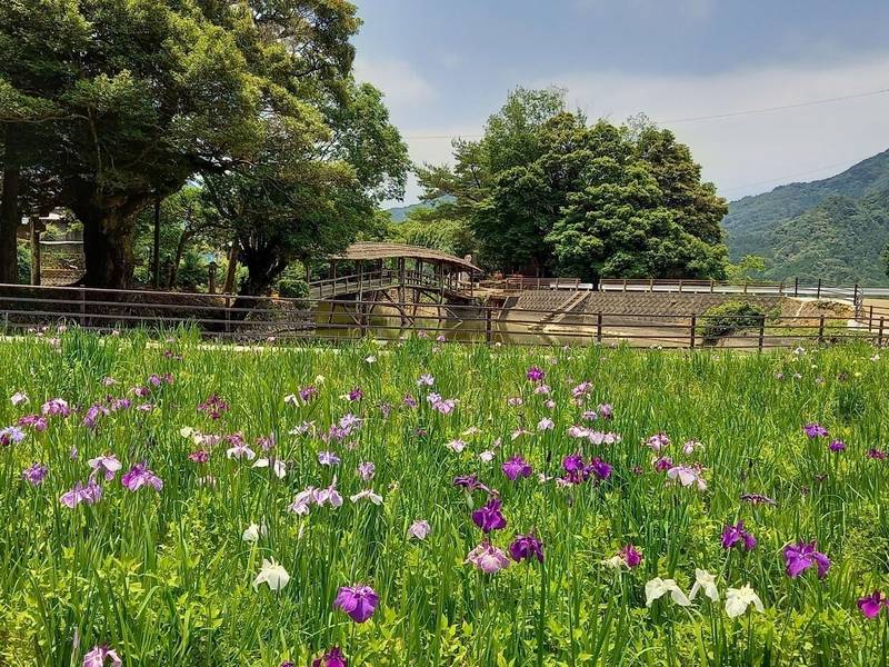 弓削神社,愛媛県喜多郡内子町石畳甲３７０５