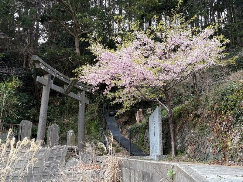 嚴島神社,宮城県牡鹿郡女川町出島寺間５