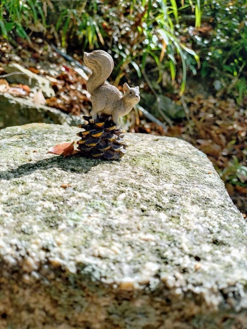 小倉八幡神社,徳島県徳島市八多町小倉1