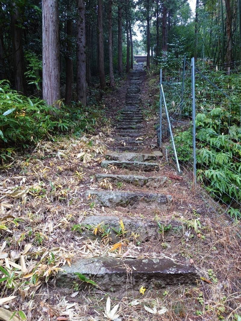 若田神社,京都府宮津市日置２４６４