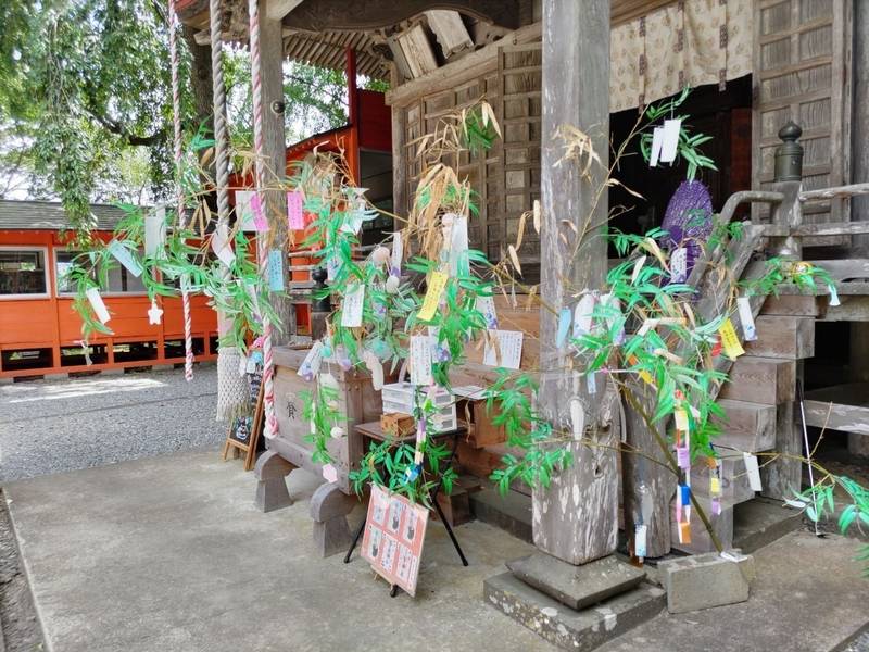 登米神社,宮城県登米市登米町寺池道場山15