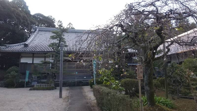 安楽寺,三重県津市一志町波瀬2284