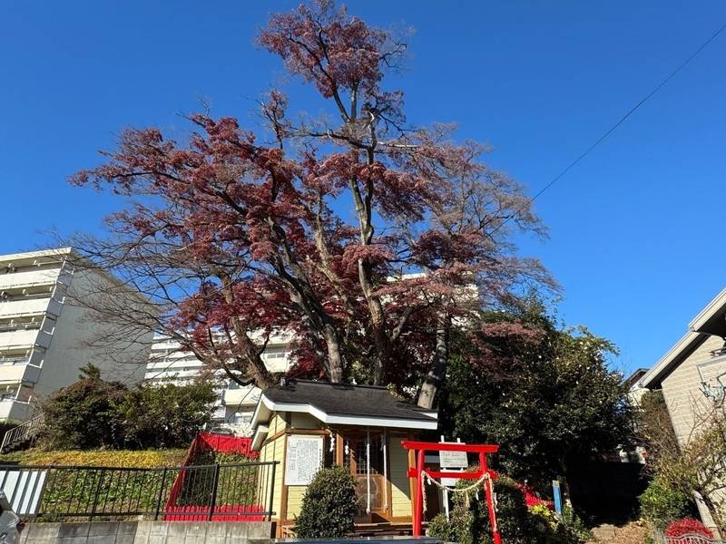 稲船神社,宮城県仙台市宮城野区五輪1-14-27