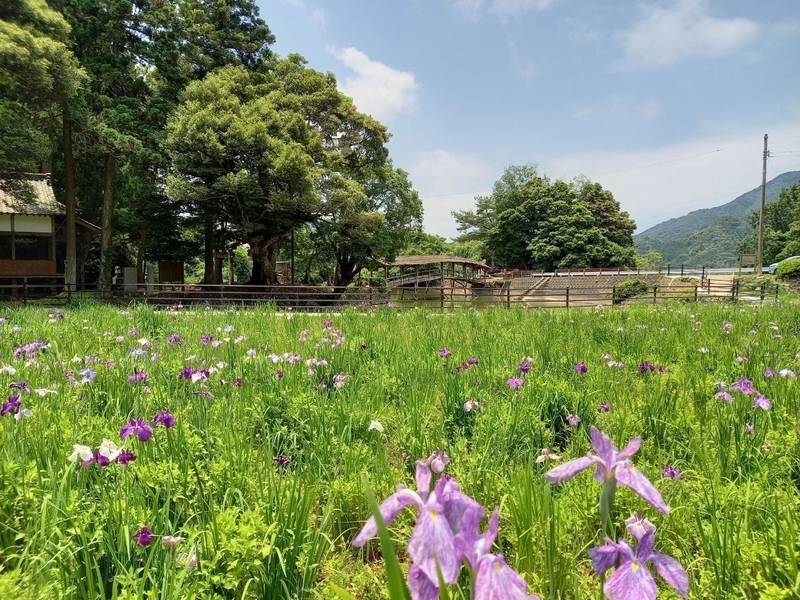 弓削神社,愛媛県喜多郡内子町石畳甲３７０５