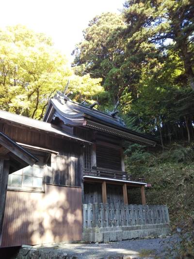 波多神社,見どころ,まちゃき