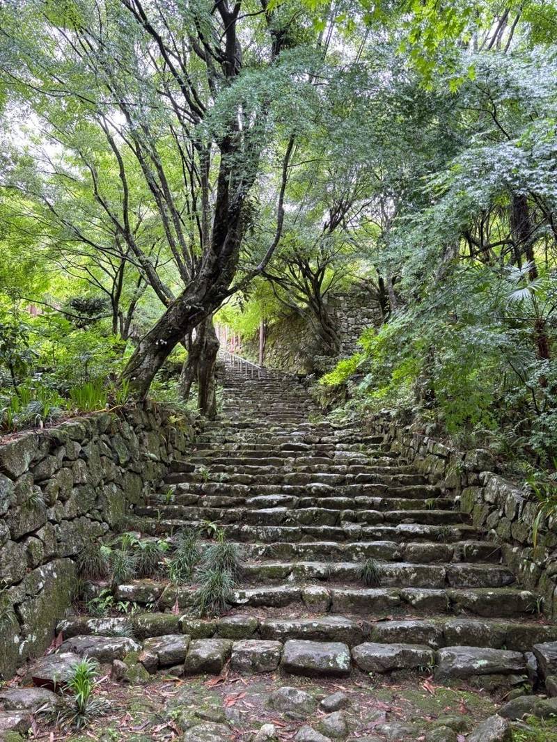 桑實寺,滋賀県近江八幡市安土町桑實寺292