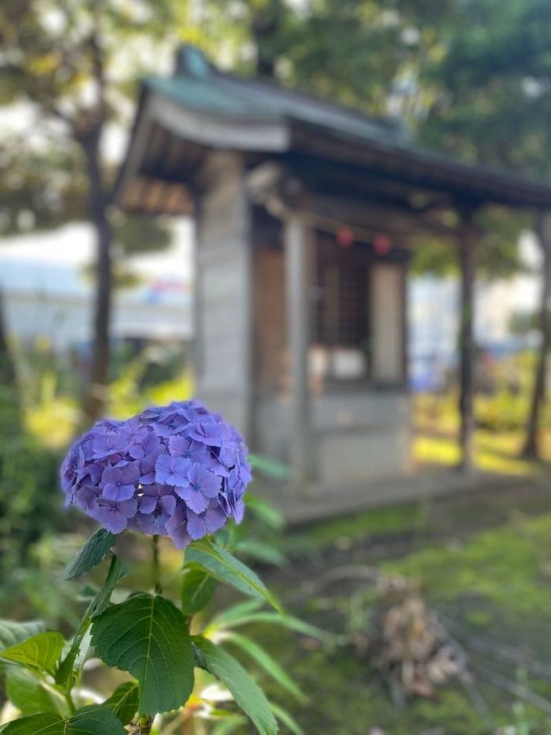 八苗稲荷神社,神奈川県厚木市酒井3173