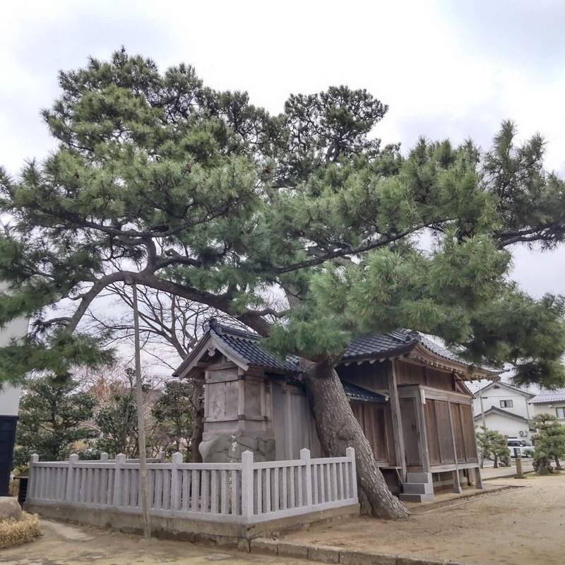 大土地荒神社,島根県出雲市大社町杵築西2425