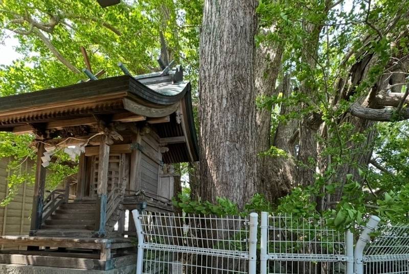 乳保神社,徳島県板野郡上板町瀬部763