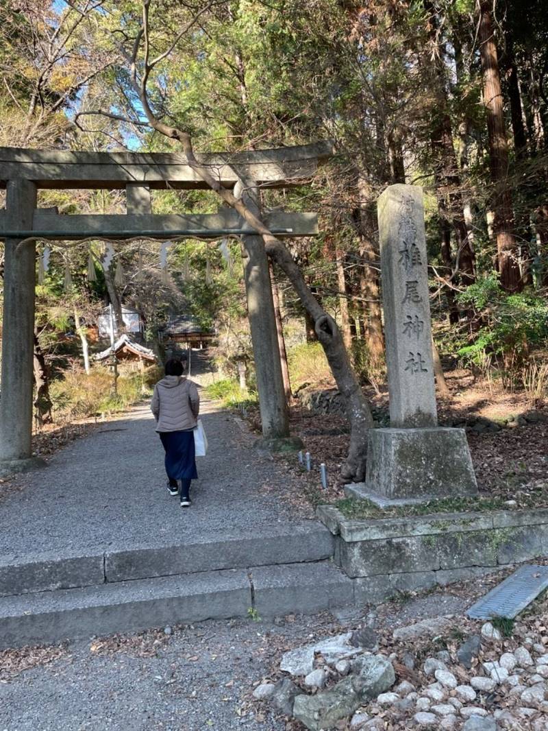 椎尾神社,大阪府三島郡島本町山崎5-1049