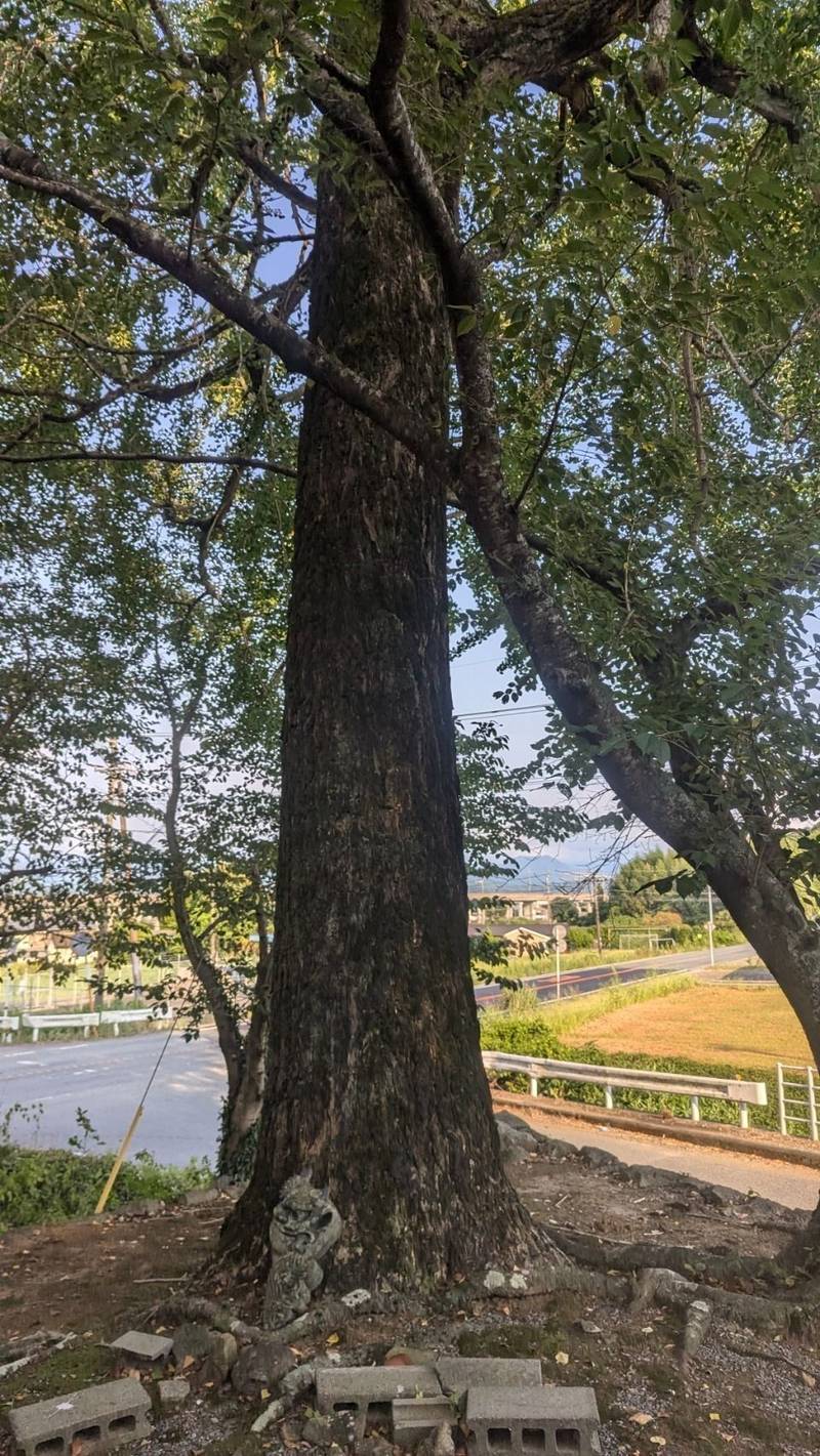 八王神社,熊本県宇城市不知火町小曽部２０６４−１