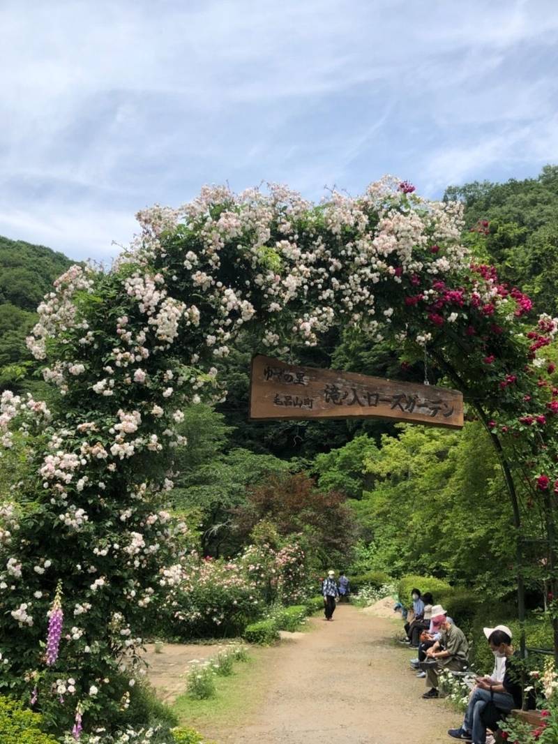 住吉神社,埼玉県入間郡毛呂山町滝ノ入９０９