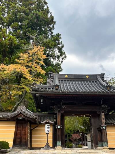 一乗院,見どころ,ドン