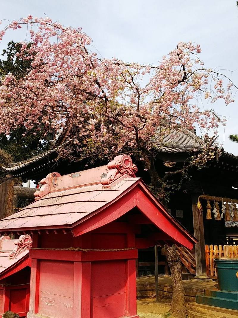 四葉稲荷神社 板橋区 東京都 Omairi おまいり