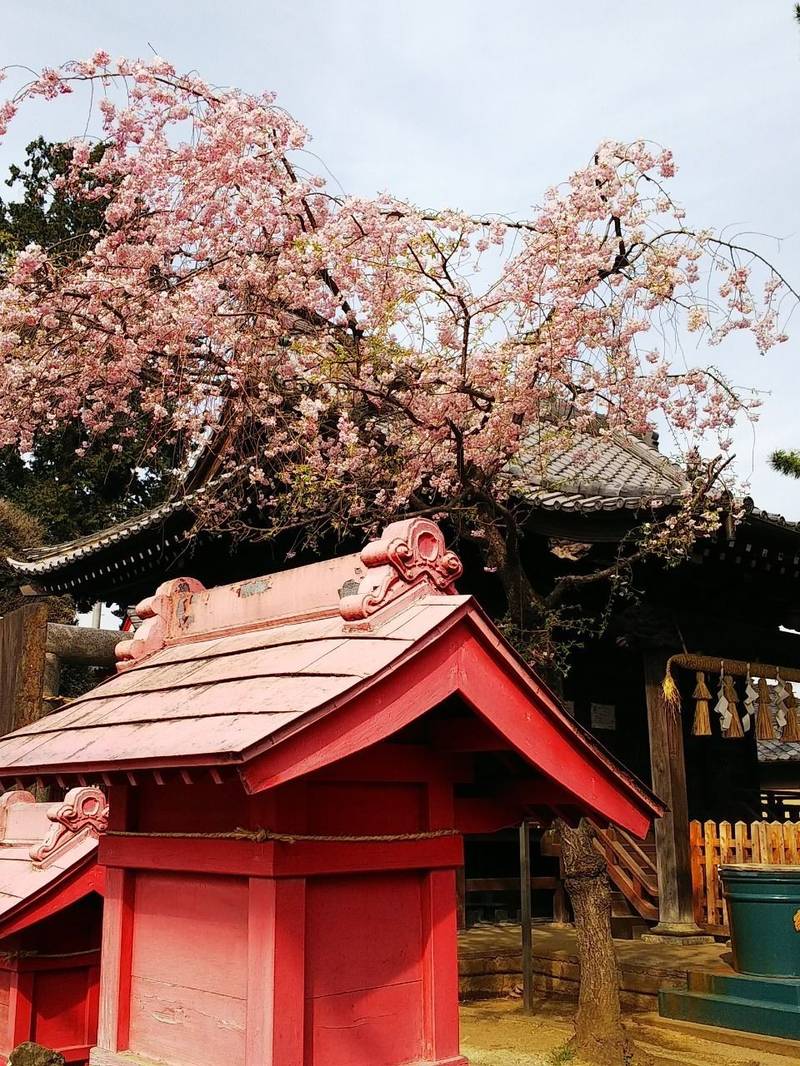 四葉稲荷神社 板橋区 東京都 Omairi おまいり 四葉稲荷神社 板橋区 東京都 Omairi おまいり