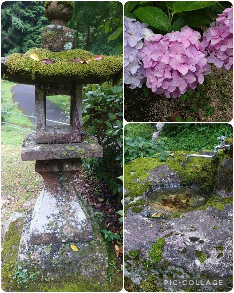 大元神社,山口県岩国市錦町須川